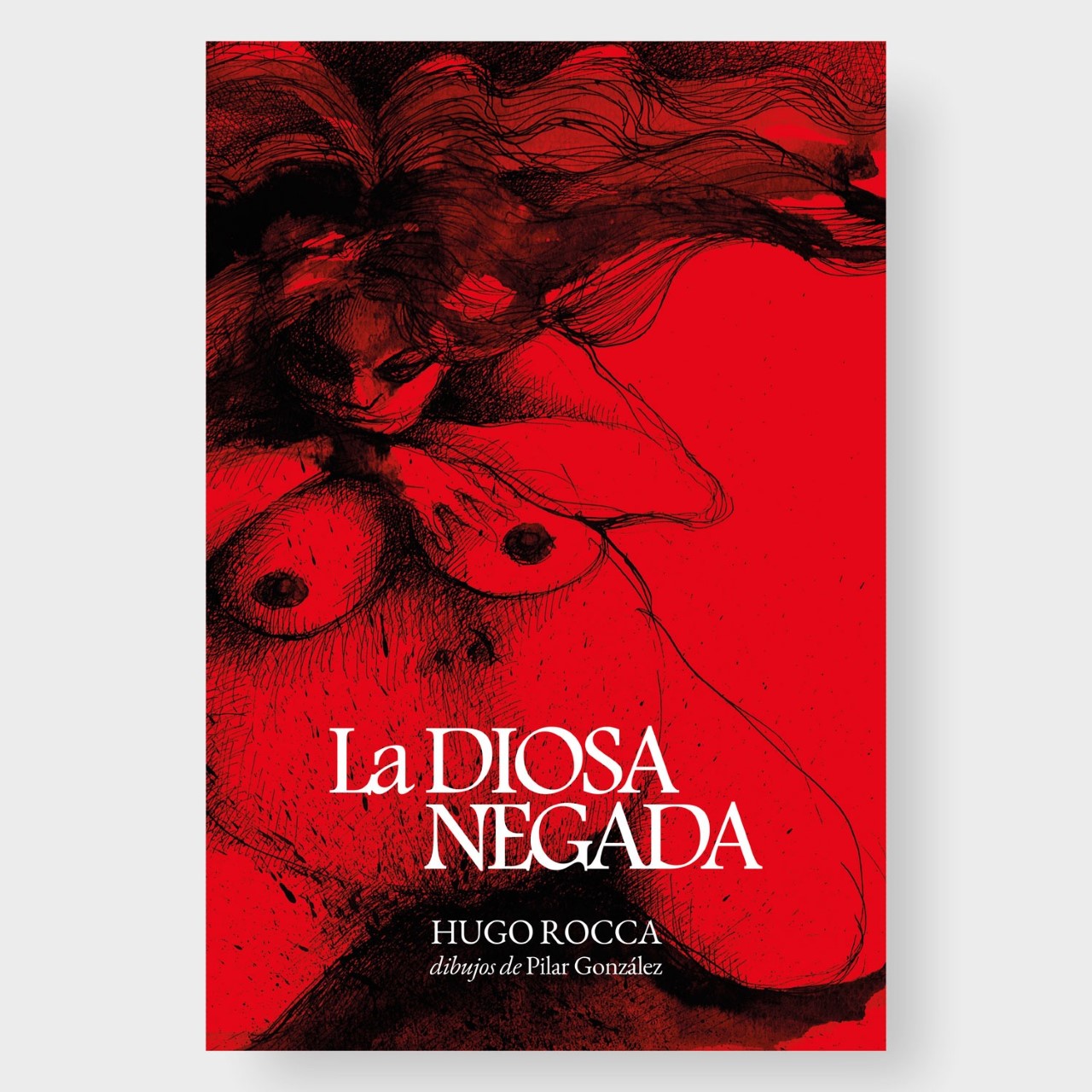 PRESENTACIÓN DE LIBRO: LA DIOSA NEGADA