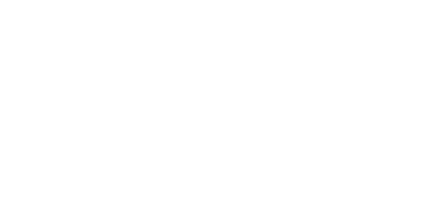 Fundación VERDE Logo