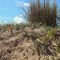 Seguí el sendero y protegé las dunas en cada paso