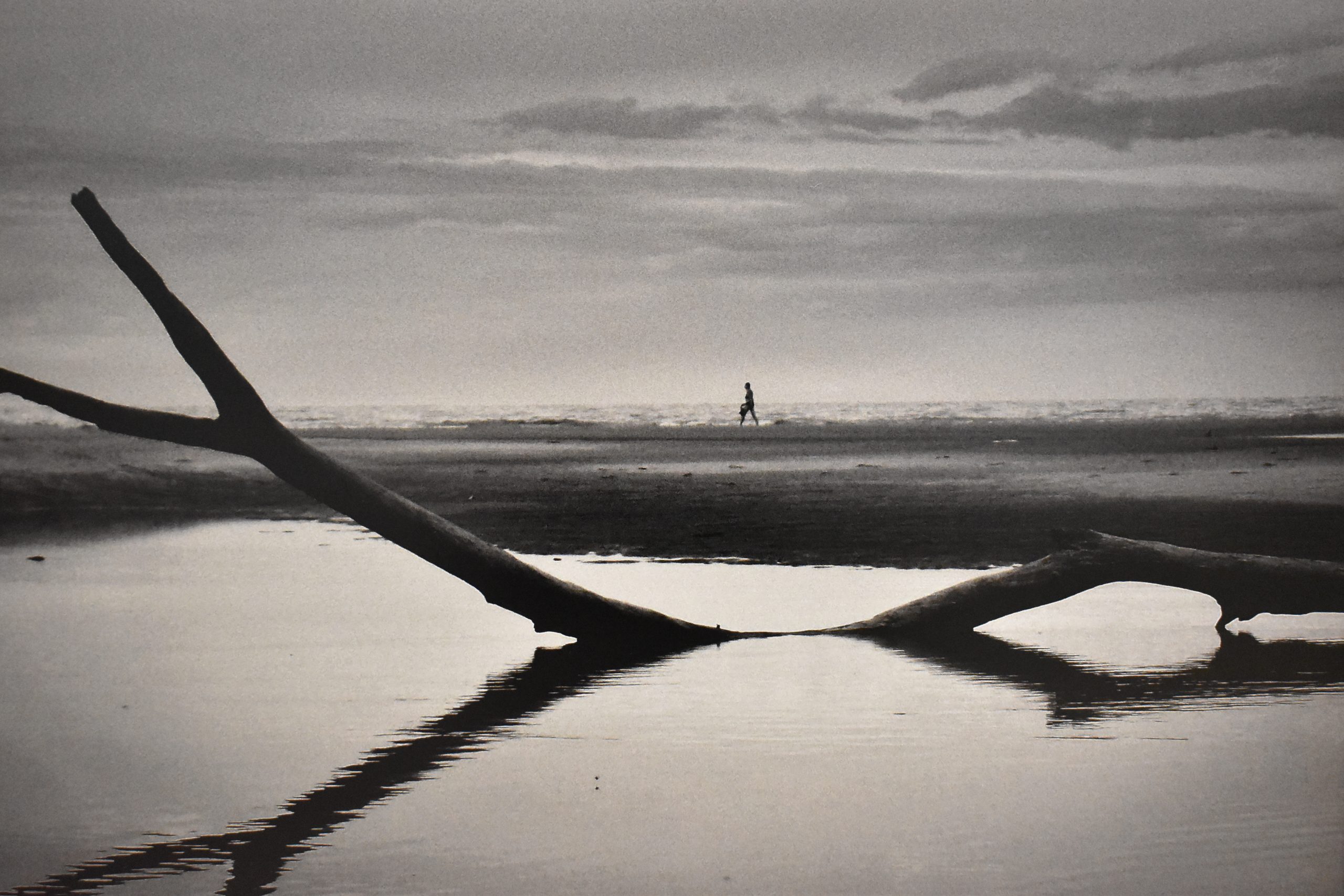 Arquitectura naturaleza (Eduardo Mazzeo)